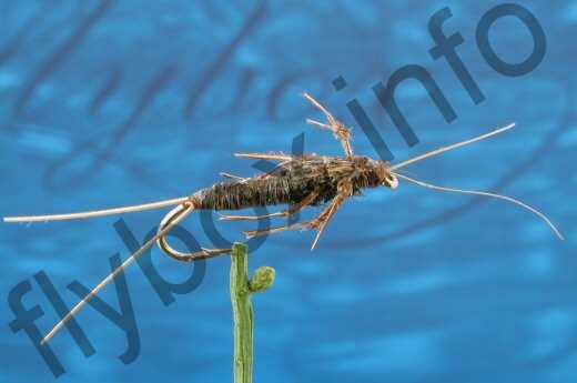 Sid's Stonefly